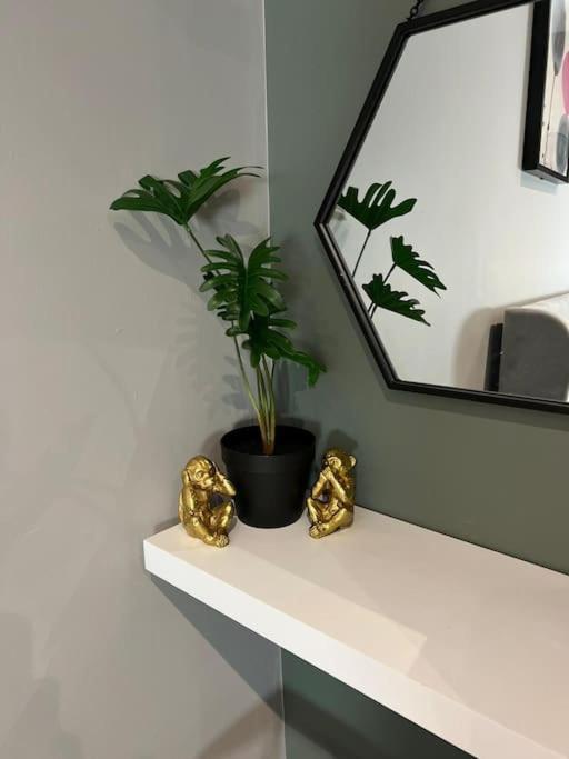 Peaceful & Stylish Brighton Studio Apartment Экстерьер фото